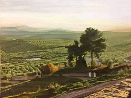 Mar de Olivos